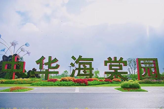 海棠花开引来众多科技产业